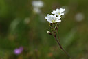 BUITEN BEELD Foto: 375571