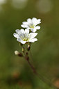 BUITEN BEELD Foto: 375575