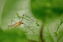 BUITEN BEELD Foto: 375790