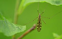 BUITEN BEELD Foto: 375791