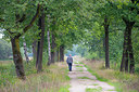 BUITEN BEELD Foto: 376037