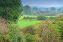 BUITEN BEELD Foto: 376038