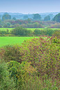 BUITEN BEELD Foto: 376041
