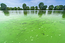 BUITEN BEELD Foto: 376059