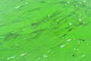 BUITEN BEELD Foto: 376060