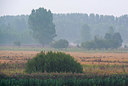 BUITEN BEELD Foto: 376246