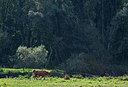 BUITEN BEELD Foto: 376268