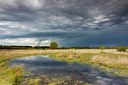 BUITEN BEELD Foto: 376340