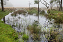 BUITEN BEELD Foto: 376370