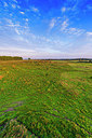 BUITEN BEELD Foto: 376391