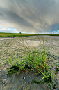 BUITEN BEELD Foto: 376518