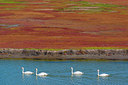 BUITEN BEELD Foto: 376591