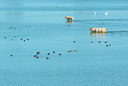 BUITEN BEELD Foto: 376596