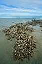 BUITEN BEELD Foto: 376601
