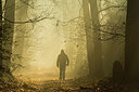BUITEN BEELD Foto: 377052