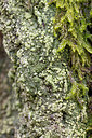 BUITEN BEELD Foto: 377143