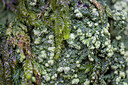 BUITEN BEELD Foto: 377145
