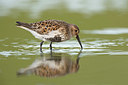 BUITEN BEELD Foto: 377175