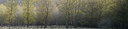 BUITEN BEELD Foto: 377910