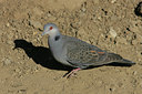 BUITEN BEELD Foto: 37006