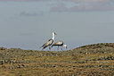 BUITEN BEELD Foto: 37016