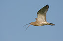 BUITEN BEELD Foto: 37053