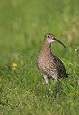 BUITEN BEELD Foto: 37057