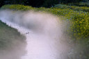 BUITEN BEELD Foto: 37076