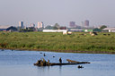 BUITEN BEELD Foto: 37087