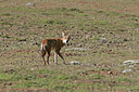 BUITEN BEELD Foto: 37091