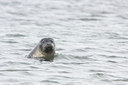 BUITEN BEELD Foto: 37119