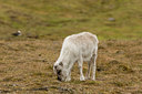 BUITEN BEELD Foto: 37129