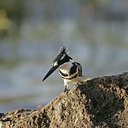 BUITEN BEELD Foto: 37134
