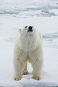 BUITEN BEELD Foto: 37183