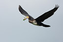 BUITEN BEELD Foto: 37219