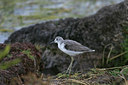 BUITEN BEELD Foto: 37240