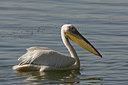 BUITEN BEELD Foto: 37251