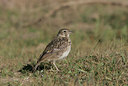 BUITEN BEELD Foto: 37271