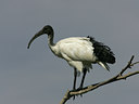 BUITEN BEELD Foto: 37287