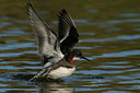 BUITEN BEELD Foto: 37289