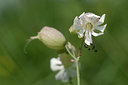 BUITEN BEELD Foto: 37292