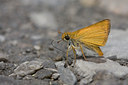 BUITEN BEELD Foto: 37315