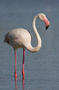 BUITEN BEELD Foto: 37318