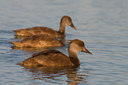BUITEN BEELD Foto: 37321