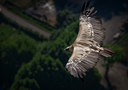 BUITEN BEELD Foto: 37389