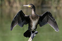BUITEN BEELD Foto: 37402