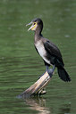 BUITEN BEELD Foto: 37406
