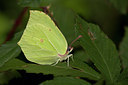 BUITEN BEELD Foto: 37440