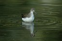 BUITEN BEELD Foto: 37480