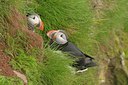 BUITEN BEELD Foto: 37482